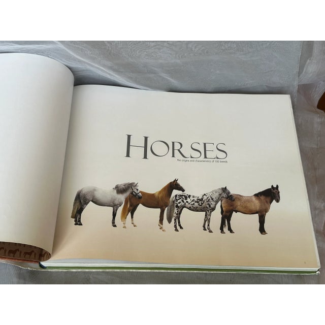 Horse Photography Coffee Table Book Country House Equestrian Home Decor For Sale - Image 12 of 12