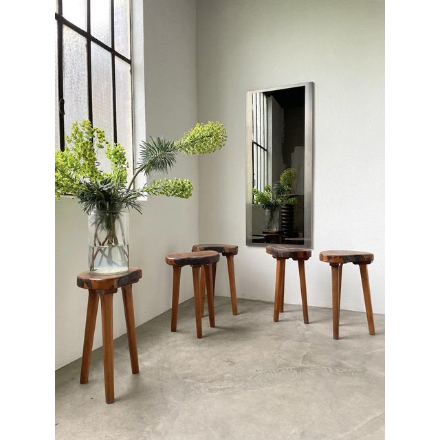 Wood Olive Tree Tripod Stools, 1950s, Set of 5 For Sale - Image 7 of 18