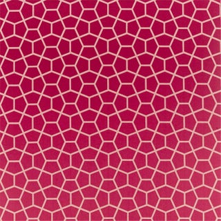 Harlequin Glyptic Fabric in Cherry For Sale