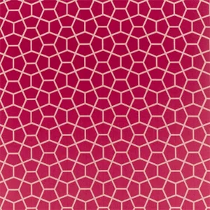 Harlequin Glyptic Fabric in Cherry
