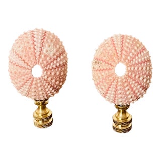 1970s Pair of Sra Shell Urchins Lamp Finials For Sale