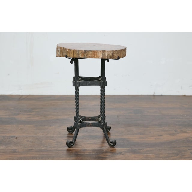 Early 20th Century Early 20th Century Turn of the Century French Side Table - Petrified Wood Top and Wrought Iron Base For Sale - Image 5 of 12