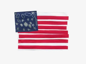 Whimsical Outsider Art American Flag Giclee Print -