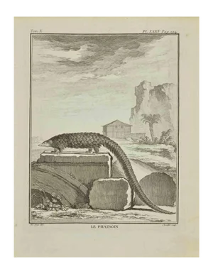 Juste Chevillet, Le Phatagin, Etching, 1771