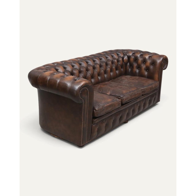 Three-seater Chesterfield sofa, in brown leather. Deep button tufting on the back and rolled arms, a buttoned front border...