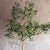 An exceptionally realistic 8′ bottle tree crafted to fool the eye from across the yard — and up close. The trunk is hand-...