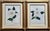 Paper "Camellia Japonica" Botanical Prints-Custom Gold Leaf Frames-Set 2 For Sale - Image 7 of 7