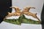 Hubley Cast Iron Leaping Gazelle Bookends For Sale - Image 13 of 13