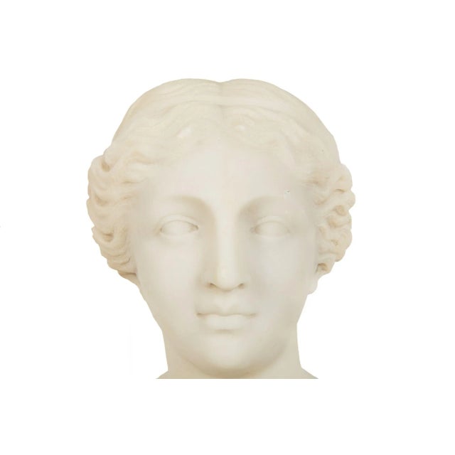 Italian Grand Tour Carved Alabaster Bust of Venus of Milo, 20th Century For Sale - Image 9 of 18