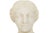 Italian Grand Tour Carved Alabaster Bust of Venus of Milo, 20th Century For Sale - Image 9 of 18