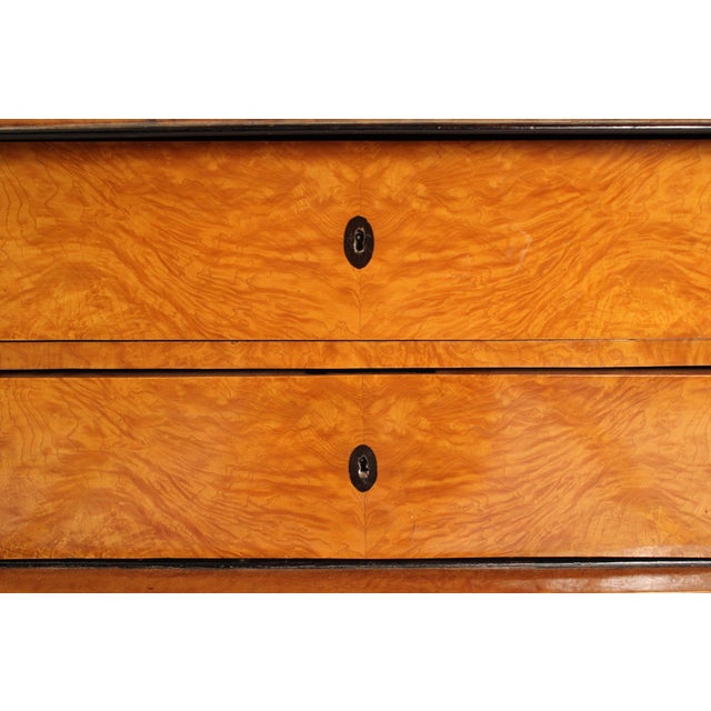 Wood Antique Biedermeier Style Birch Chest of Drawers For Sale - Image 7 of 12