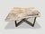 Andrianna Shamaris Live Edge Petrified Wood Coffee Table For Sale - Image 4 of 18
