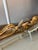 1970s 1970s Elegant Gold Gilt Mirror — “Cat O Nine Tails” For Sale - Image 5 of 16