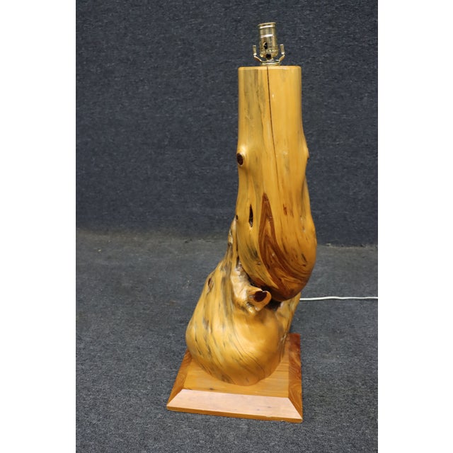 Mid 20th Century Mid Century Modern Organic Driftwood Table Lamp For Sale In Philadelphia - Image 6 of 8