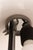 Silver Aggregato Tavolo Table Lamp by Enzo Mari and Giancarlo Fassina for Artemide, 1974 For Sale - Image 8 of 10