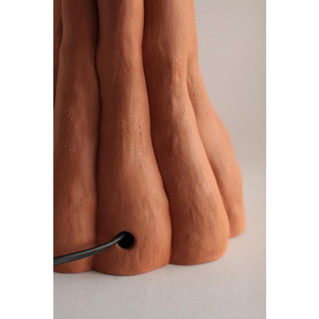 Contemporary Terra Collection Shape 13 Table Lamp by Anna Demidova For Sale - Image 3 of 6