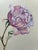 Original Vintage Gouache Painting of a Rose For Sale - Image 4 of 7