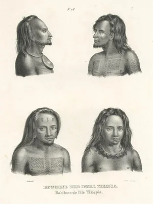Tattooed Natives of Tikopia, 1845, Paper