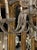 19th Century Venetian Twist Glass Arm and Giltwood Chandelier For Sale - Image 4 of 14