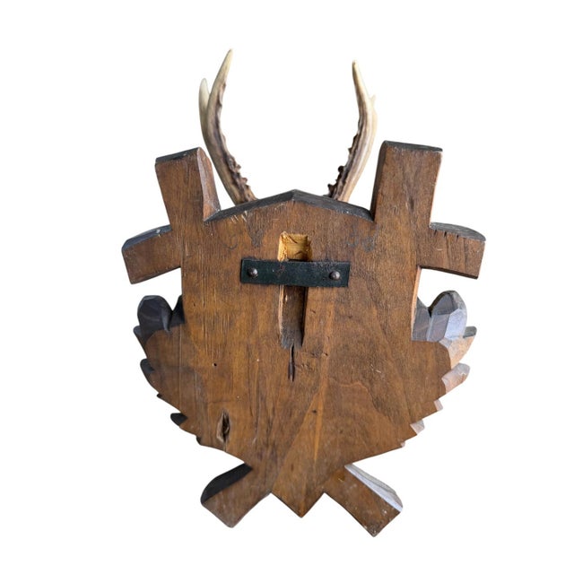 1980s Roe Deer Trophy 157 Black Forest Antlers Mount For Sale - Image 5 of 5