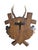 1980s Roe Deer Trophy 157 Black Forest Antlers Mount For Sale - Image 5 of 5