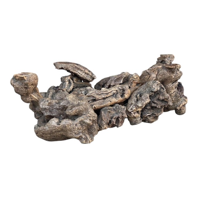 Vintage Sculptural Burl Wood Root Coffee Table With Glass Top – Organic Modern For Sale - Image 10 of 13
