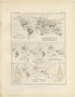 Antique Map Showing the Division and Distribution of Reptiles by Johnston, 1850