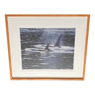 1990s Art Wolfe Signed Limited Edition 9/250 Photograph Orcas Sierra Club Oak Frame For Sale