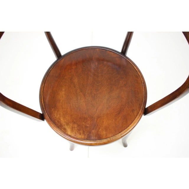Wood Thonet Mundus Wooden Armchair in Vienna Style, 1920s For Sale - Image 7 of 13