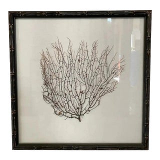 Espresso Frame With Ivory Linen Fan Coral Prints From Barclay Butera For Sale