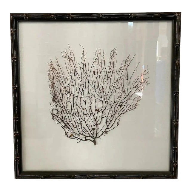 Espresso Frame With Ivory Linen Fan Coral Prints From Barclay Butera For Sale