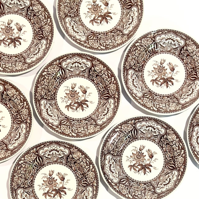 Spode Archive Collection Umber Floral Luncheon Plates - Set of 8 For Sale In Miami - Image 6 of 11