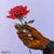 A Rose for Trying, 1, by Emmanuel Akolo, (2026), Acrylic on Canvas For Sale