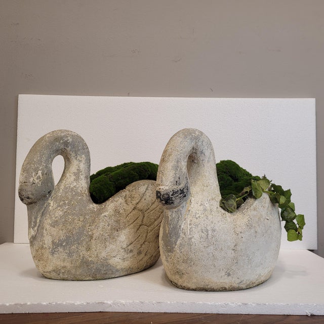 Antique Swan Planters in Concrete, France, 1920s, Set of 2 For Sale - Image 6 of 18