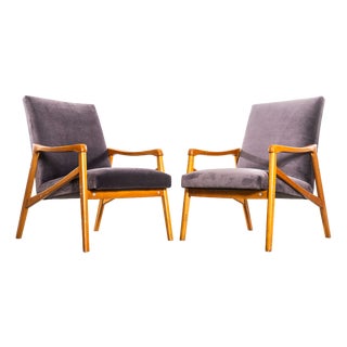 Lounge Chair in Grey Cotton Velvet and Beech by Jaroslav Smidek, 1950s For Sale