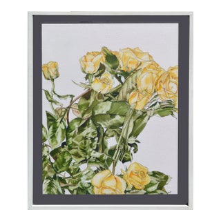 Yellow Roses - Botanical Study by Deborah Eddy For Sale