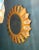 Gold Large Mid-Century Italian Sunburst Mirror, 1960s For Sale - Image 8 of 11