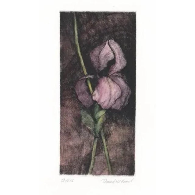 Traditional David Baird Purple Iris Still Life Etching For Sale - Image 3 of 3