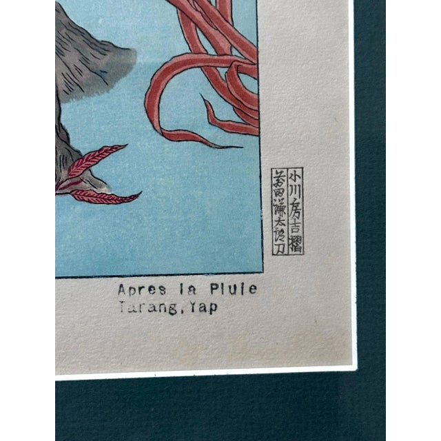Japanese Framed Japanese Woodblock Print Apres La Pluie Tarang Yap by Paul Jacoulet For Sale - Image 3 of 12