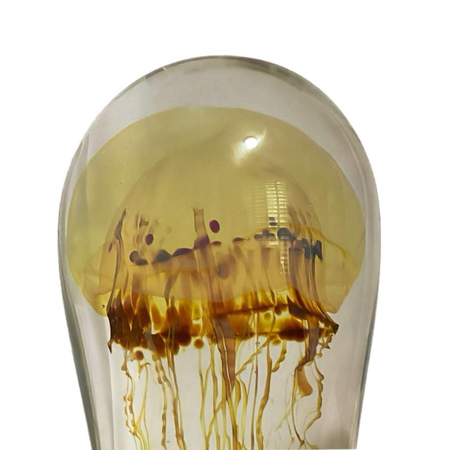 Richard Satava Moon Jellyfish Sculpture/ Paperweight For Sale - Image 4 of 6
