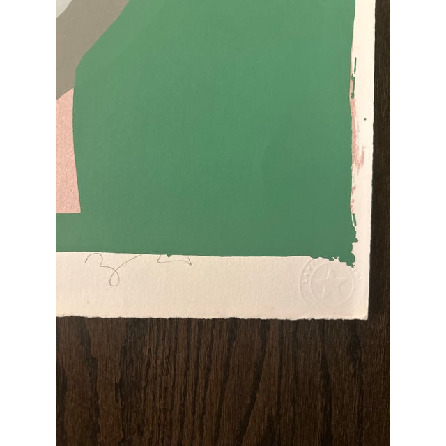 Abstract Aurora Borealis by Darryl Hughto Original Silkscreen Print For Sale - Image 3 of 3