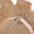 Line Vautrin Small Oval Gilt Resin and Pink Glass Mirror in the Manner of Line Vautrin For Sale - Image 4 of 7
