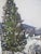 Textile Max Theynet Signed Impressionist Swiss Rural Winter Landscape Oil Painting For Sale - Image 7 of 8
