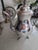 I just cleaned up the Teapot Good condition. All items are vintage and or secondhand sings of age are excepted. I do my...
