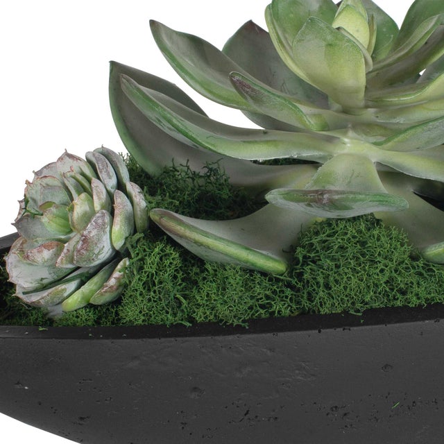 Black Verde Succulent Centerpiece In Bowl For Sale - Image 8 of 8