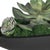 Black Verde Succulent Centerpiece In Bowl For Sale - Image 8 of 8