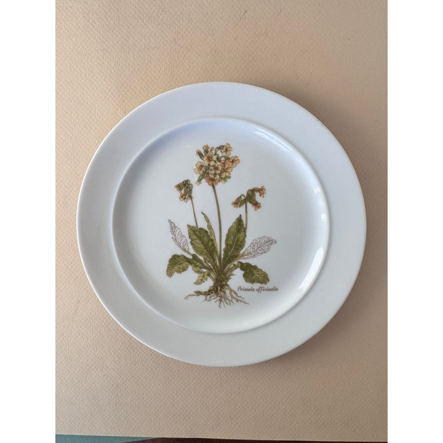 1980s 1980s Botanical Wildflower Side Plates- Set of 8 For Sale - Image 5 of 7