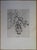 Emilia "Mily" Possoz (1888-1967) The Bouquet of Tulips Original etching Signed in pencil Limited edition of 35 copies (the...