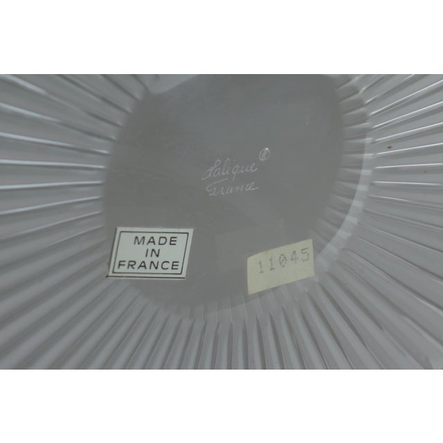 Art Deco Crystal Daisies Decorative Bowl by René Lalique for Lalique, 1930s For Sale - Image 8 of 9