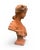 2000 - 2009 Vintage Terracotta Bust of a Young Woman With Floral Headdress For Sale - Image 5 of 9